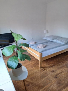 Apartament Żółkiewski